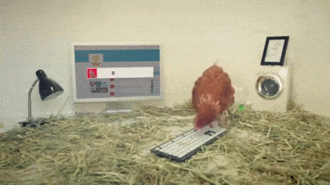 Chicken pecking slot machine gift card Chicken pecking slot machine gift card