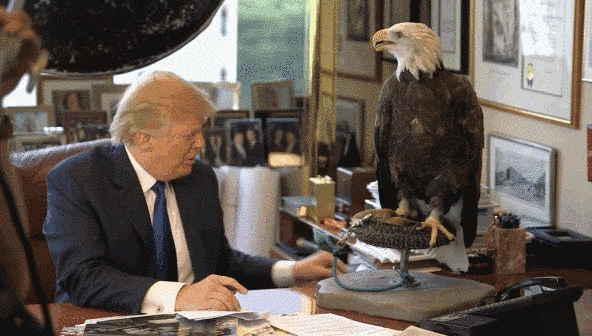 trump-eagle.gif